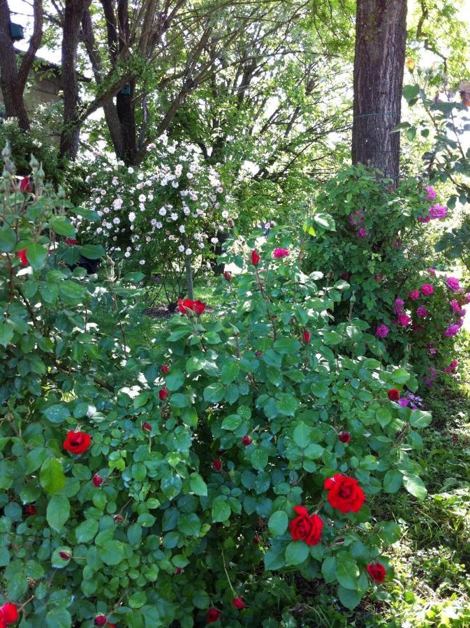 Casa A Soliera Bed & Breakfast Sorbara Dış mekan fotoğraf